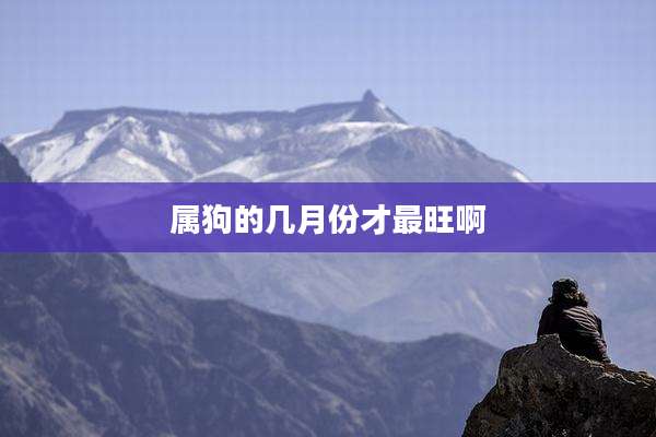 属狗的几月份才最旺啊