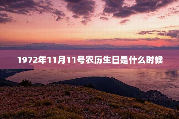 1972年11月11号农历生日是什么时候
