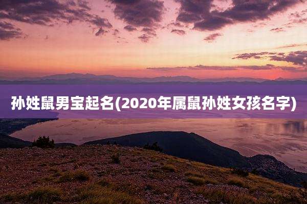 孙姓鼠男宝起名(2020年属鼠孙姓女孩名字)