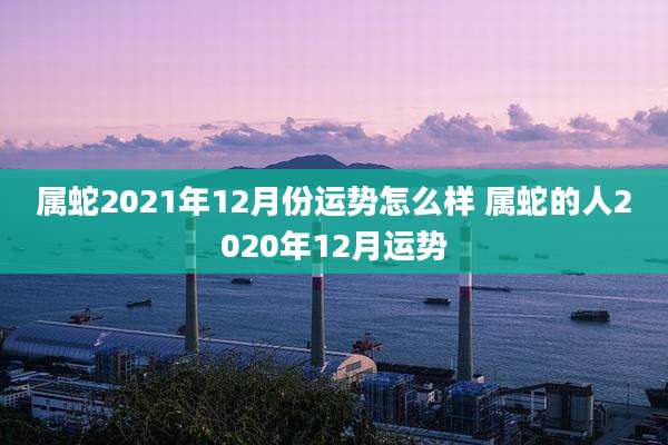 属蛇2021年12月份运势怎么样 属蛇的人2020年12月运势