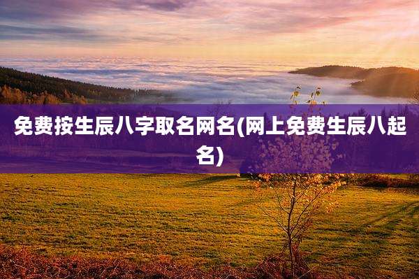 免费按生辰八字取名网名(网上免费生辰八起名)