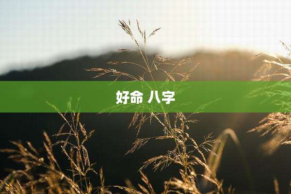 好命 八字