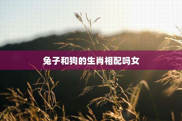 兔子和狗的生肖相配吗女