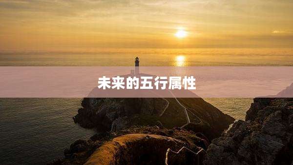 未来的五行属性