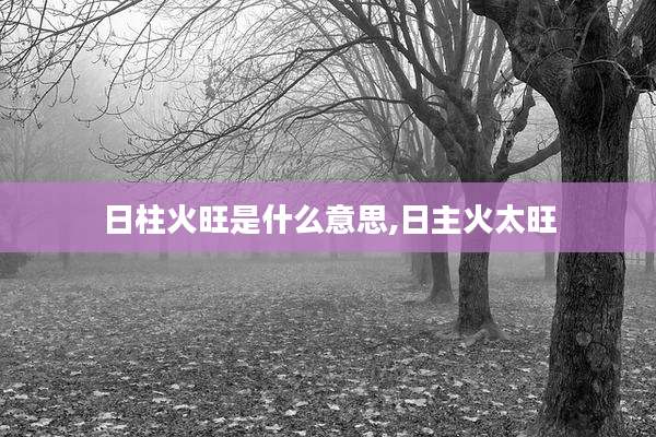 日柱火旺是什么意思,日主火太旺