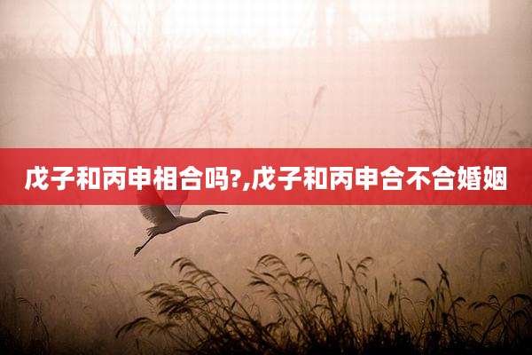 戊子和丙申相合吗?,戊子和丙申合不合婚姻