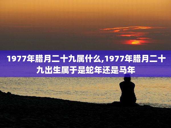 1977年腊月二十九属什么,1977年腊月二十九出生属于是蛇年还是马年