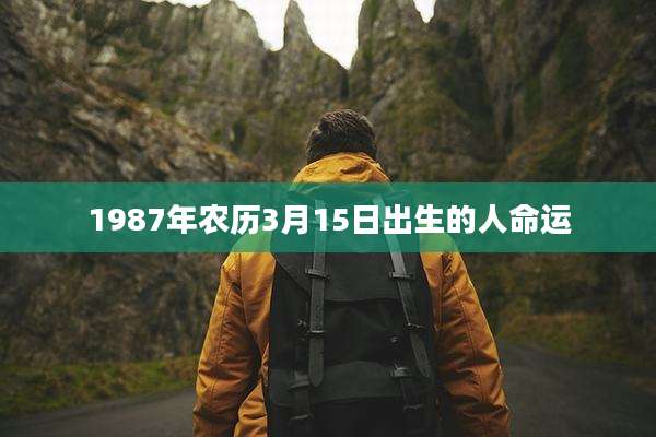 1987年农历3月15日出生的人命运