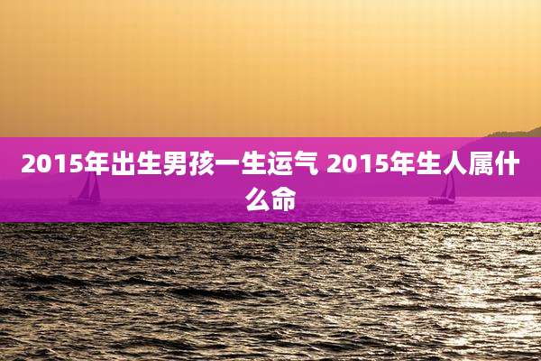 2015年出生男孩一生运气 2015年生人属什么命