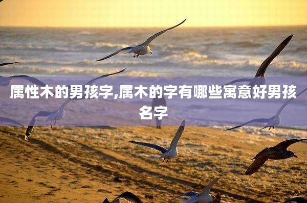 属性木的男孩字,属木的字有哪些寓意好男孩名字