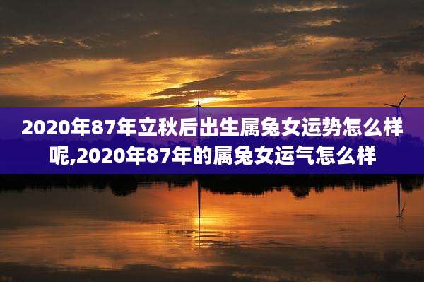 2020年87年立秋后出生属兔女运势怎么样呢,2020年87年的属兔女运气怎么样
