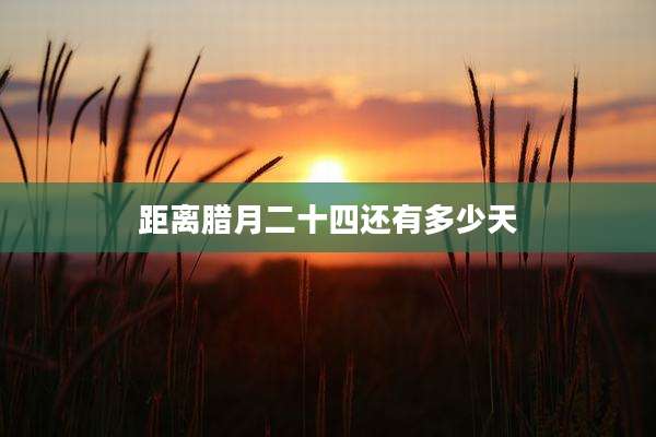距离腊月二十四还有多少天