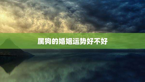 属狗的婚姻运势好不好