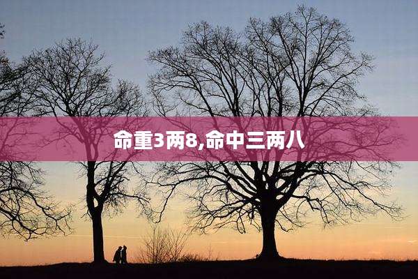 命重3两8,命中三两八