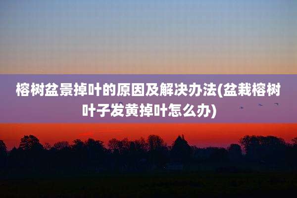 榕树盆景掉叶的原因及解决办法(盆栽榕树叶子发黄掉叶怎么办)
