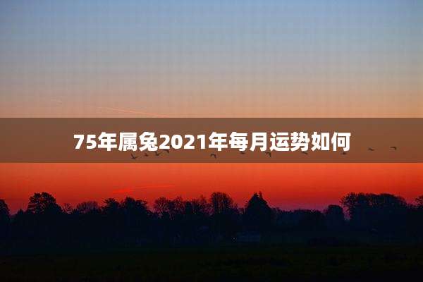 75年属兔2021年每月运势如何