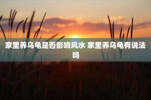家里养乌龟是否影响风水 家里养乌龟有说法吗
