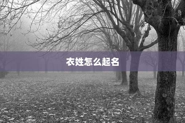 衣姓怎么起名