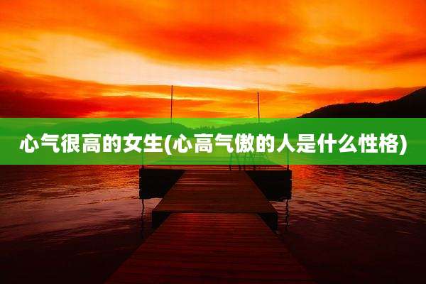 心气很高的女生(心高气傲的人是什么性格)