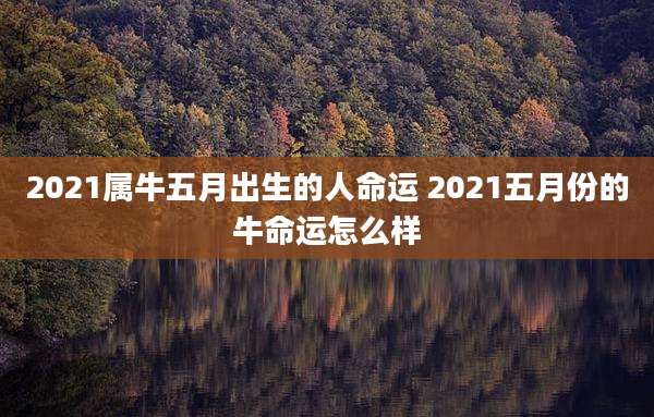 2021属牛五月出生的人命运 2021五月份的牛命运怎么样
