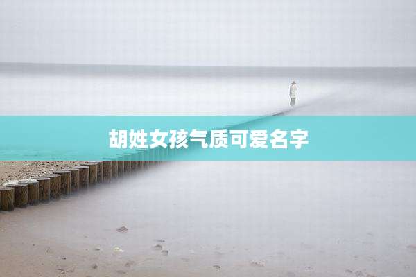 胡姓女孩气质可爱名字