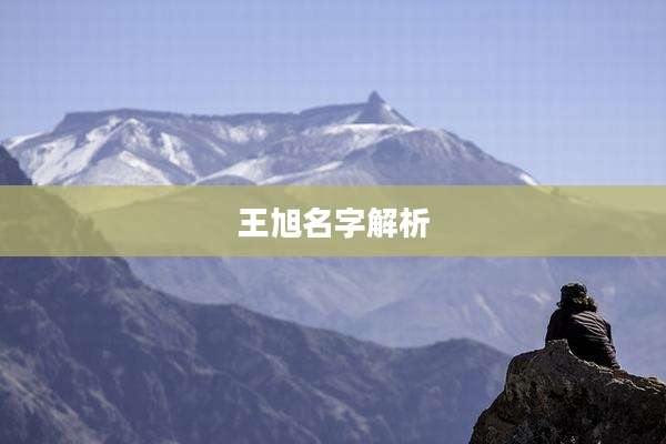 王旭名字解析