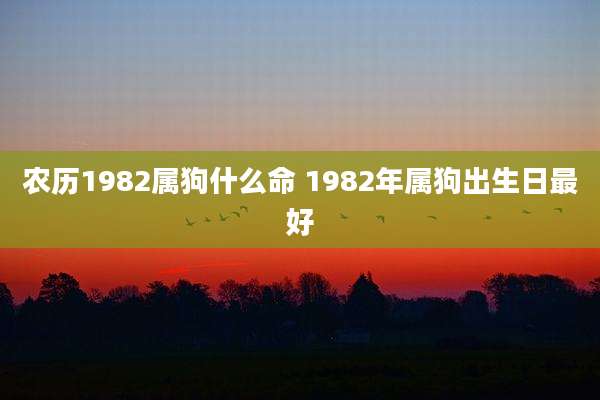 农历1982属狗什么命 1982年属狗出生日最好