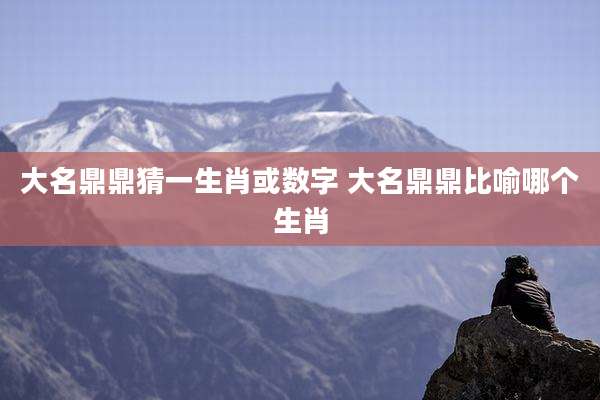 大名鼎鼎猜一生肖或数字 大名鼎鼎比喻哪个生肖