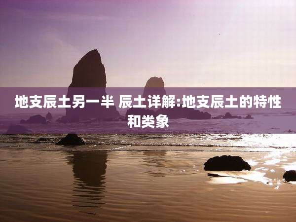 地支辰土另一半 辰土详解:地支辰土的特性和类象