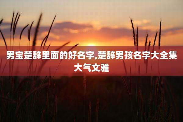 男宝楚辞里面的好名字,楚辞男孩名字大全集大气文雅