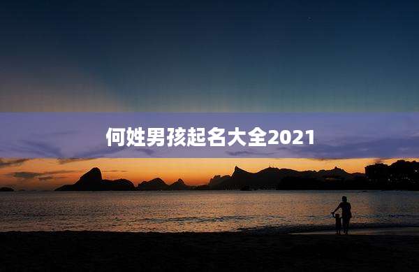 何姓男孩起名大全2021