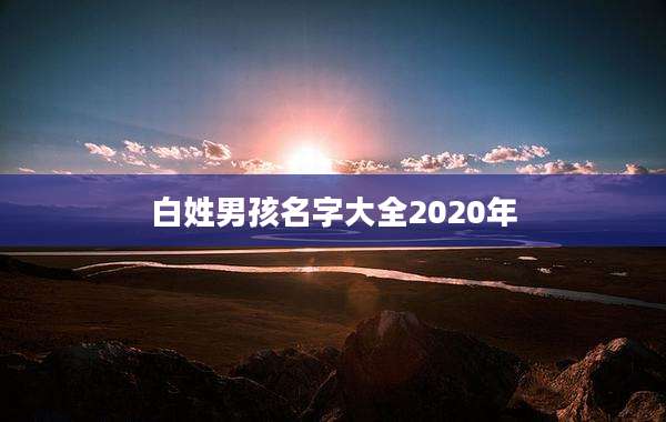 白姓男孩名字大全2020年
