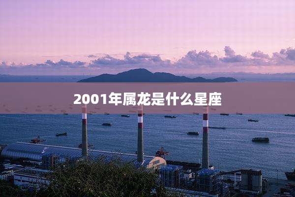 2001年属龙是什么星座
