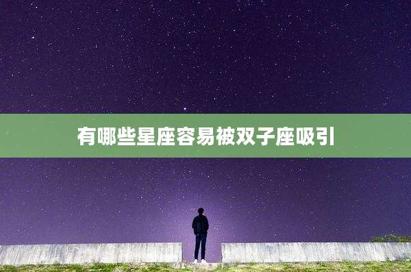 有哪些星座容易被双子座吸引