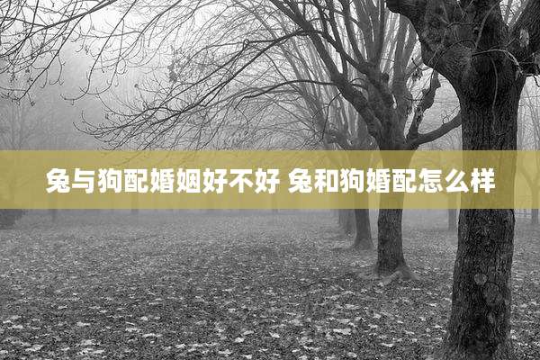 兔与狗配婚姻好不好 兔和狗婚配怎么样