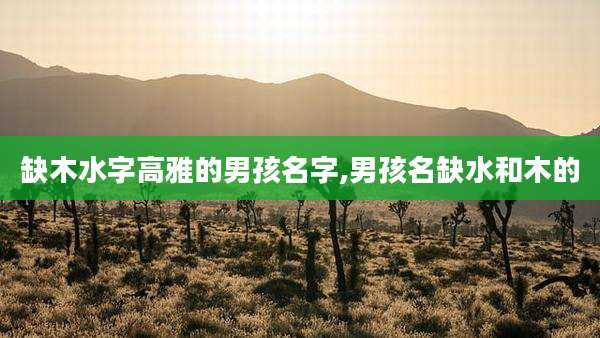 缺木水字高雅的男孩名字,男孩名缺水和木的