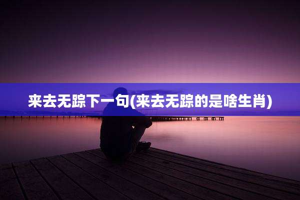 来去无踪下一句(来去无踪的是啥生肖)