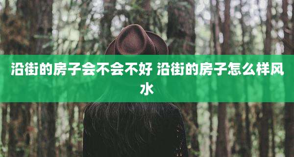 沿街的房子会不会不好 沿街的房子怎么样风水