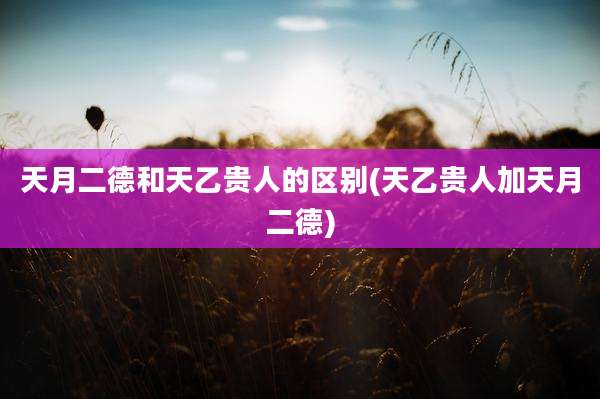 天月二德和天乙贵人的区别(天乙贵人加天月二德)