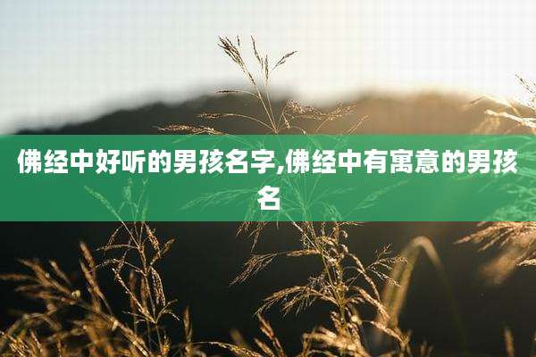 佛经中好听的男孩名字,佛经中有寓意的男孩名