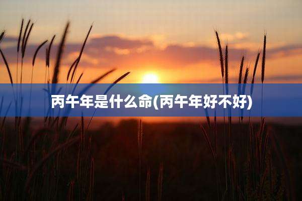 丙午年是什么命(丙午年好不好)