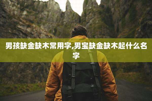 男孩缺金缺木常用字,男宝缺金缺木起什么名字