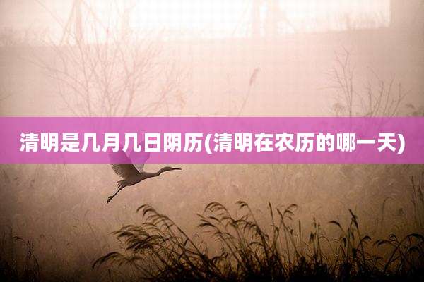 清明是几月几日阴历(清明在农历的哪一天)