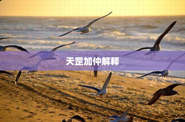 天罡加仲解释
