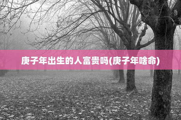 庚子年出生的人富贵吗(庚子年啥命)