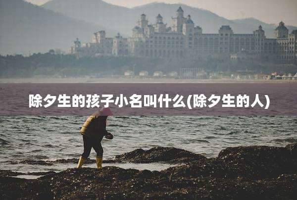 除夕生的孩子小名叫什么(除夕生的人)