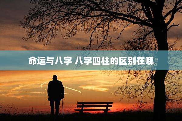 命运与八字 八字四柱的区别在哪