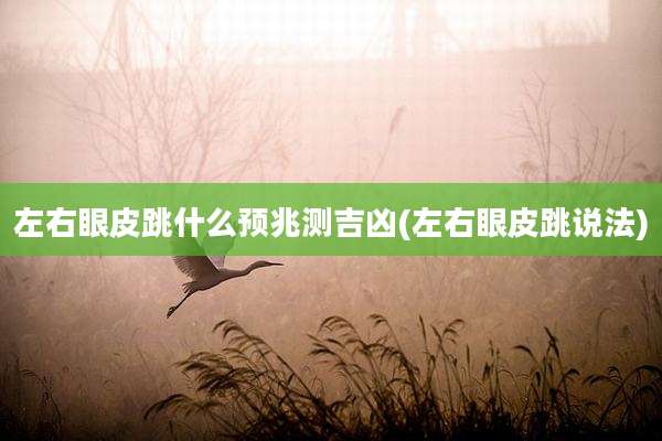左右眼皮跳什么预兆测吉凶(左右眼皮跳说法)