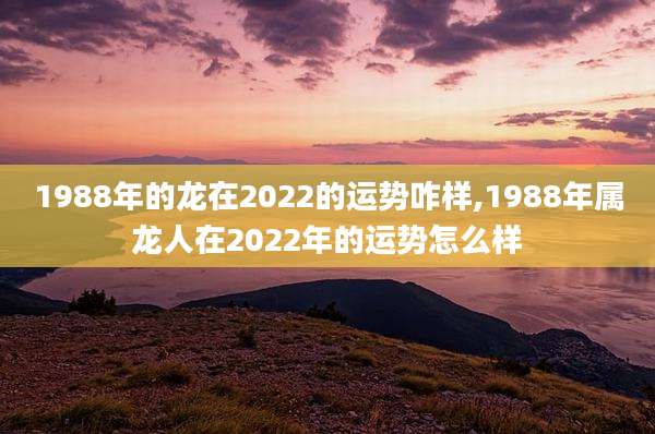 1988年的龙在2022的运势咋样,1988年属龙人在2022年的运势怎么样