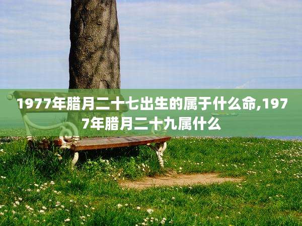 1977年腊月二十七出生的属于什么命,1977年腊月二十九属什么